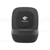 Wireless Şarj & Hoparlör