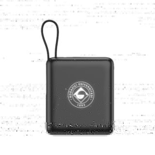 10.000 mAh Powerbank