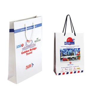 Karton Çanta 25X35X8 Cm - 4 Renk Baskılı, 230 gr.